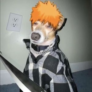 Meet your Posher, Damian